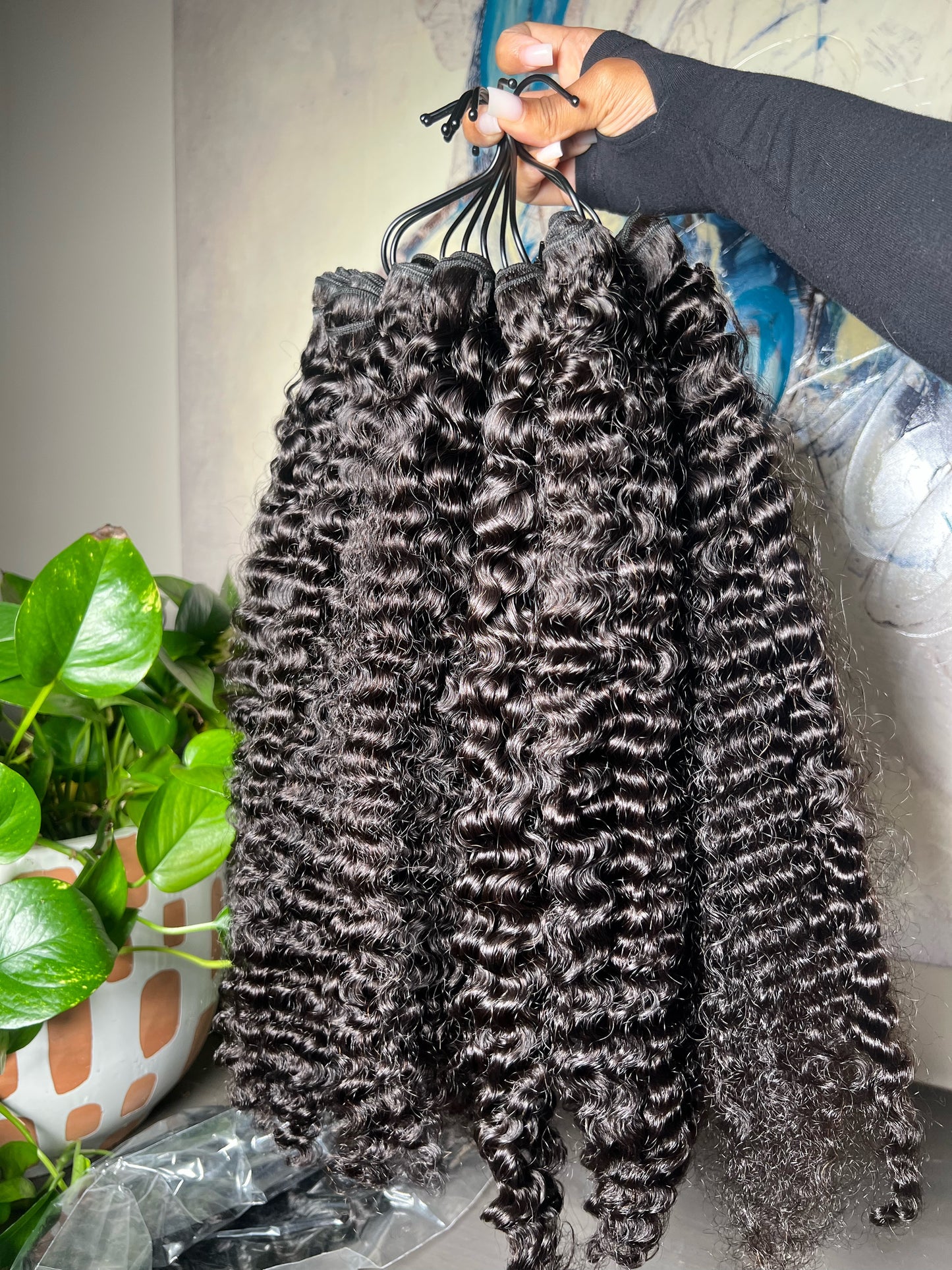 Personal Princess Curly Hair Supplier(s) 5 - (4) BURMESE CURLY NEWLY UPDATED