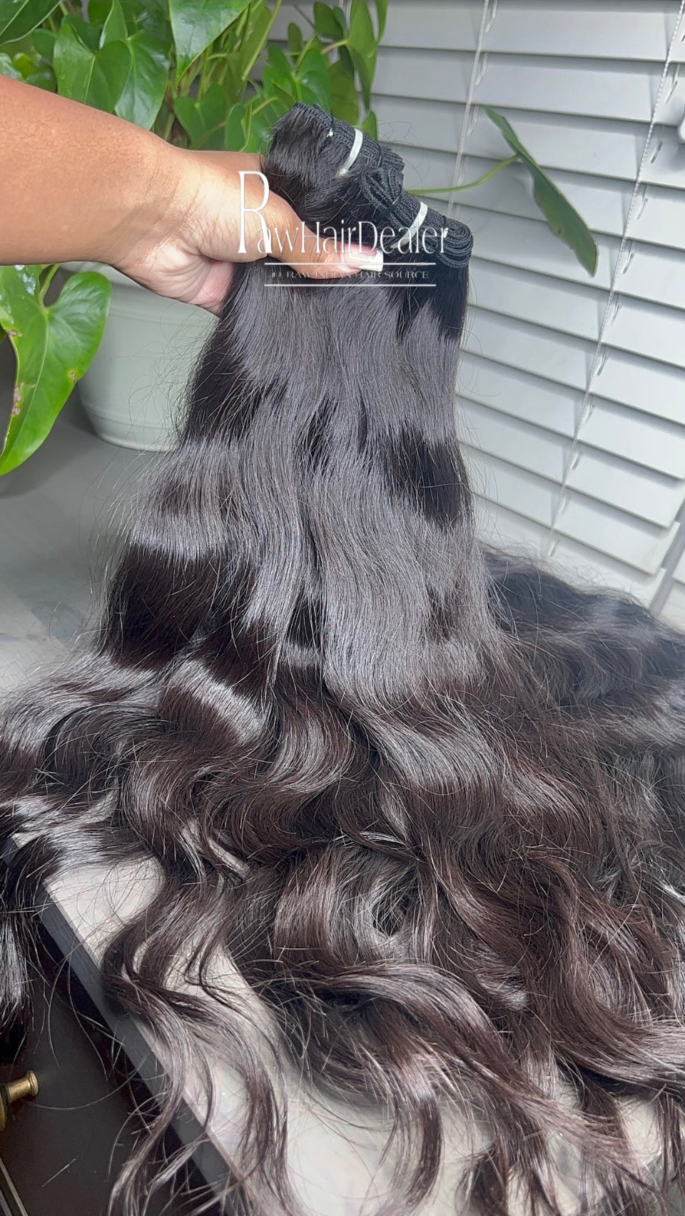 Luxe Raw Indian Wavy (Single Bundles)